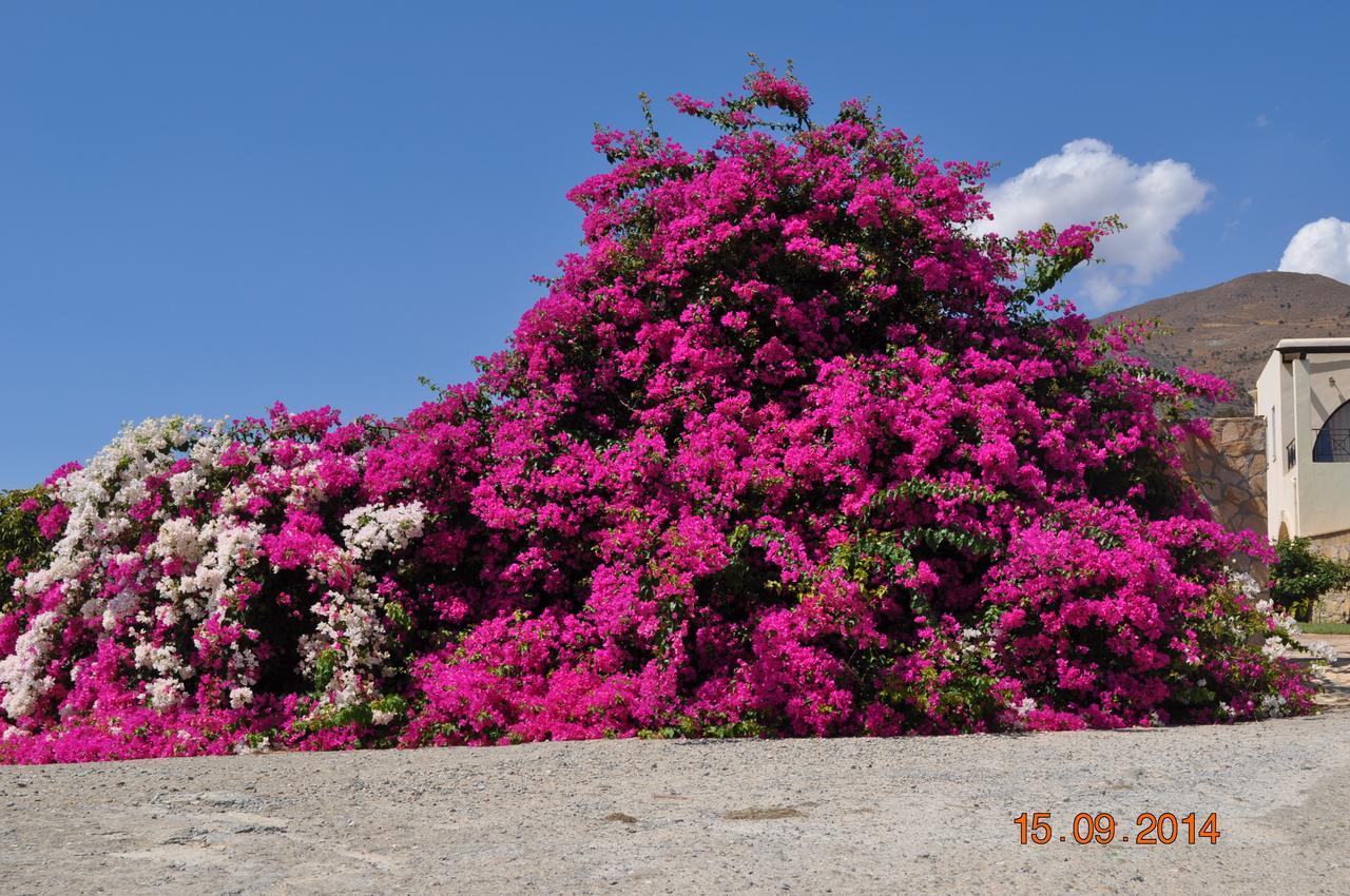 Island Villa Agia Galini Exterior foto